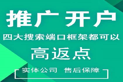 某知名品牌SEM广告投放的创意与执行